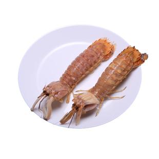 北海皮皮虾鲜活蒸熟发货包邮海鲜水产虾姑特大虾爬子新鲜大濑尿虾