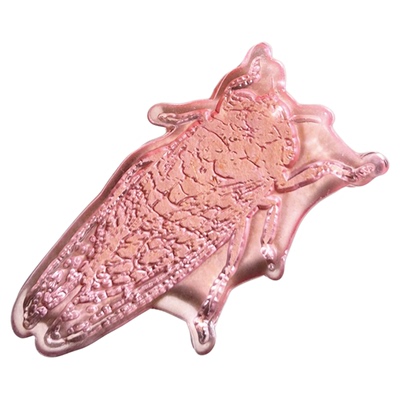 国画蝉知了螳螂天牛蚂蚁昆虫印章