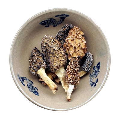 高营养野生羊肚菌煲汤神物