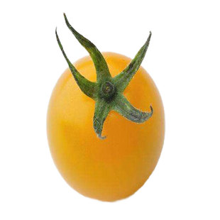 黄色圣女果种子樱桃小番茄苗蔬菜苗子西红柿种籽菜苗春天果苗孑秧