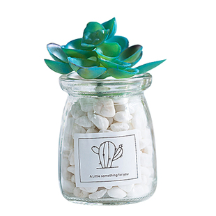 北欧盆栽ins风假多肉仿真植物简约装饰花桌面绿植小摆件室内客厅