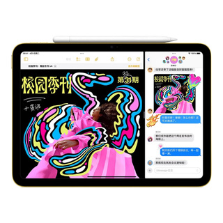 【自营】【国补立减15%】需要当场激活Apple/苹果 2025款iPad 11英寸 A16芯片 平板电脑 国行