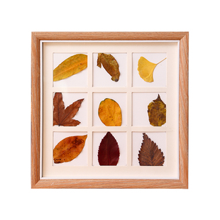 秋天落叶标本相框48宫格创意树叶手工diy捡秋制作装饰画框收集