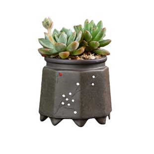 复古多肉花盆手绘陶瓷肉肉植物花器盆栽办公小盆景迷你小花盆陶瓷
