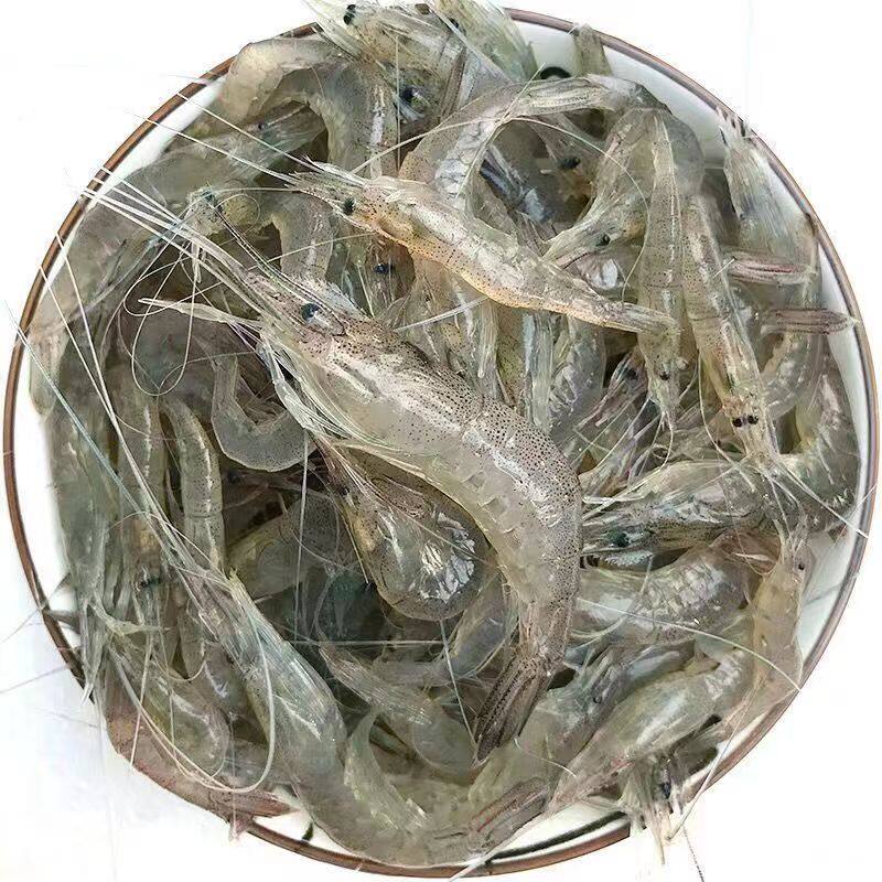 新鲜小河虾鲜活冷冻淡水虾小草虾