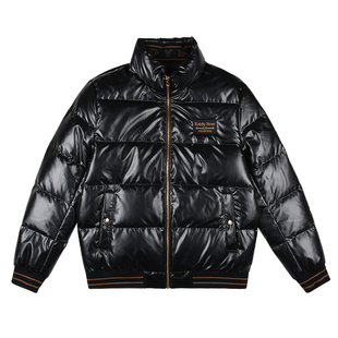 雷迪波尔男装羽绒服2024秋冬新款立领刺绣亮面纯色鸭绒保暖外套男