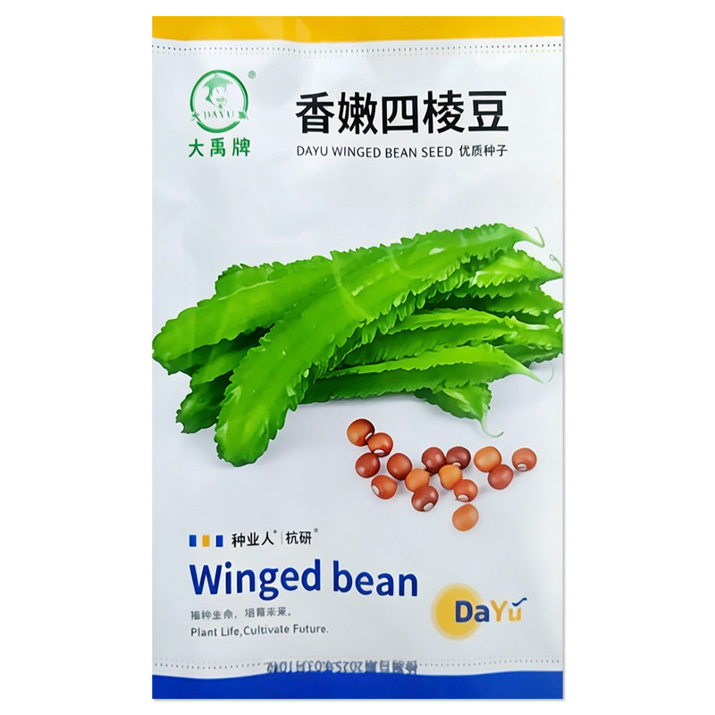 香嫩四棱豆种子蔬菜种子