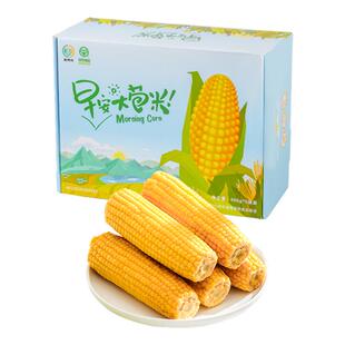 【天天特卖】麦秀年旗舰店早安大苞米新鲜黄糯玉米东北糯玉米
