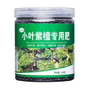 小叶紫檀专用肥营养液小叶紫檀肥料小叶赤楠盆栽盆景紫檀土养护