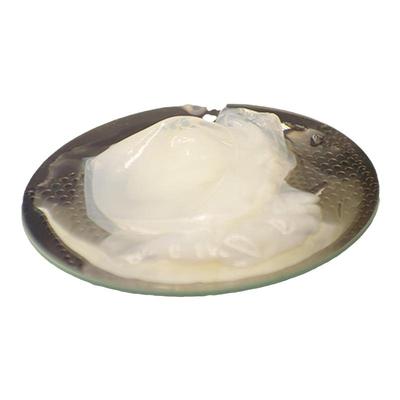 细菌纤维素凝胶膜医用敷料4-7mm