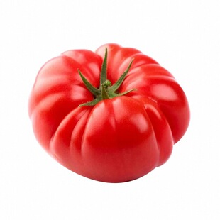 寿光沙瓤爆甜马蹄番茄苗秧红黑马蹄番茄种子丑柿子四季盆栽带土球