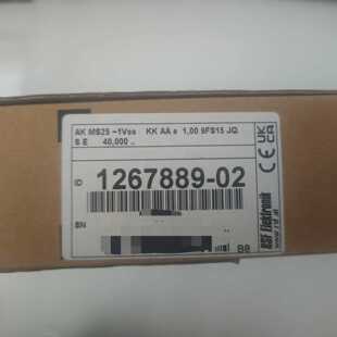 溢价-RSF Elektrok AK MS25-1Vss读数器
