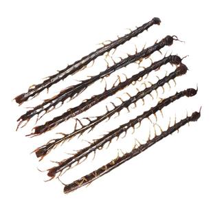 蜈蚣中药材50g克蜈蚣肉无竹签千足干蜈公皮大整条磨粉售蝎子水蛭