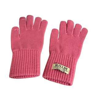 含羊毛~韩国单可触屏ins博主同款针织手套女分指骑行百搭防寒防风