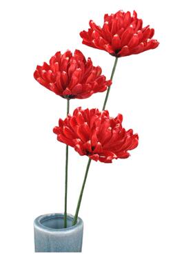 天然干花花束爱丽丝真花客厅摆设