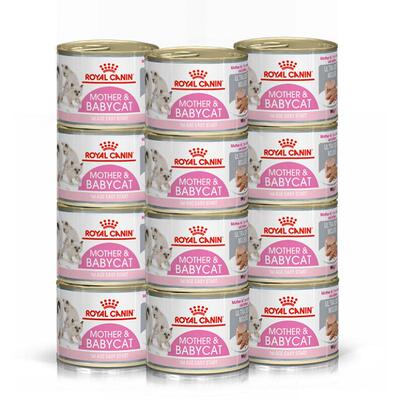 皇家进口慕斯猫罐头12罐乳牙友好