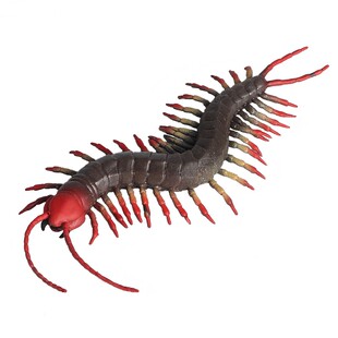 儿童玩具软胶蜈蚣仿真硅胶蝎子昆虫蜘蛛减压吓人整蛊柔软动物模型
