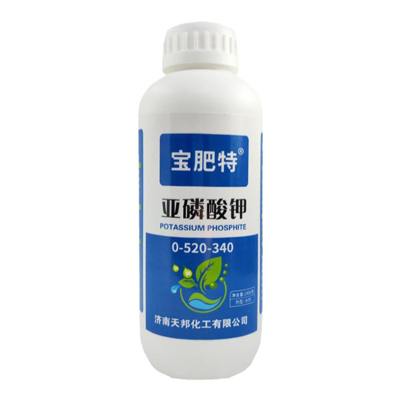 亚磷酸钾柑橘控稍控旺膨大增产抗病果树蔬菜保花保果水溶叶面肥