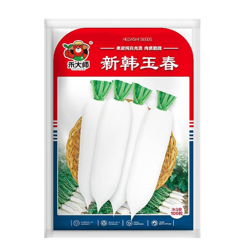 杂交新种韩玉春萝卜种子根长不糠心白萝卜生吃熟吃辣味清大田种植