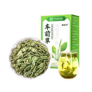 车前草中草药野生利尿茶干货泡水喝养生茶高降袋泡茶包官方旗舰店