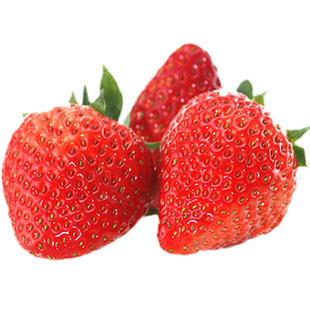 皇冠现摘新鲜奶油草莓牛奶草莓日本草莓建德草莓红颜草莓顺丰同城