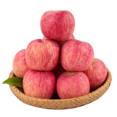 正宗陕西洛川苹果10斤