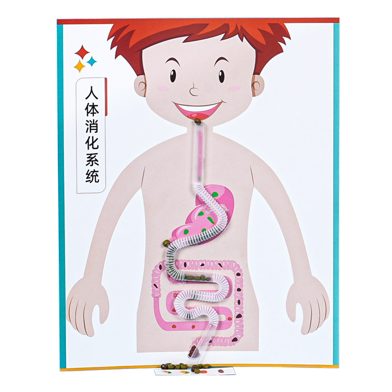 小制作晋龙轩科学实验手工DIY