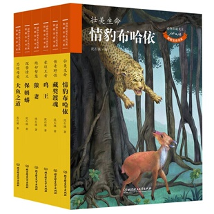 动物小说大王沈石溪 致敬生命书系全6册 藏獒渡魂+情豹布哈依+鸡王+狼妻+保姆蟒+大鱼之道 沈石溪动物小说中小学生课外阅读书籍