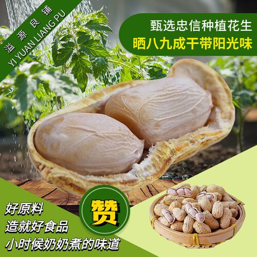 溢泓源新产水煮咸干水煮花生自然晾晒软口不脆有嚼劲带壳健康零食
