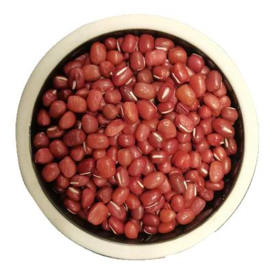 红小豆农家自产红豆薏米粥