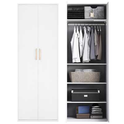 小型钢制衣柜收纳储物柜免费送装