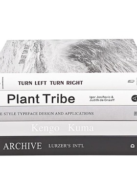 样板间可阅读英文道具书摆件