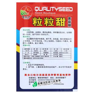 粒粒甜黄姑娘种子 浆果 黄菇娘种子 皮薄肉厚甜度高 蔬菜水果种子