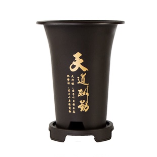 新款兰花盆专用花盆仿紫砂塑料树脂盆耐用君子兰大号天道酬勤花盆
