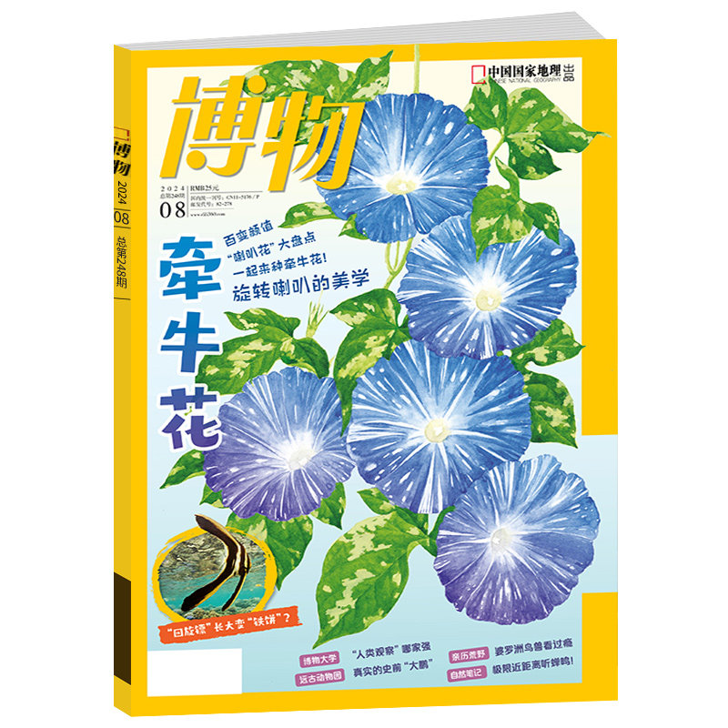 2026年11月新 博物杂志【全年/半年订阅】2025/2024年1-12月全年美味博物学增刊中国国家地理青少年版中小学生科普万物好奇号过刊