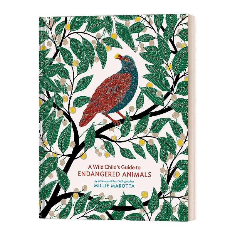 英文原版 精装 A Wild Child's Guide to Endangered Animals 濒临灭绝的动物 精装绘画版 英文版 进口英语原版书籍
