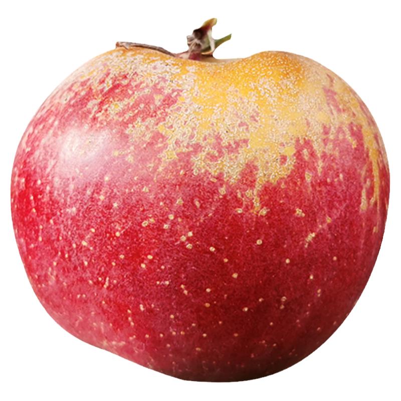 正宗大凉山丑苹果冰糖心苹果新鲜水果当季现摘四川红富士大果整箱