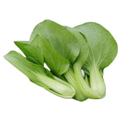 沂蒙荟馨园新鲜小油菜自然生长用