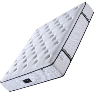 爱舒床垫席梦思家用天然乳胶椰棕垫1.51.8m独立弹簧软硬两用定制