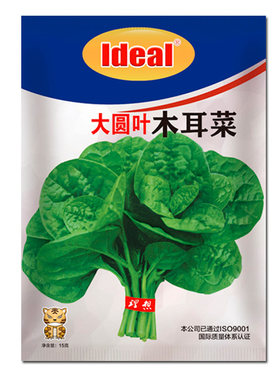 理想农业木耳菜种子特大圆叶肉厚