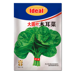 ideal理想农业理想种业大圆叶木耳菜种子木耳菜紫葛叶紫角叶种子