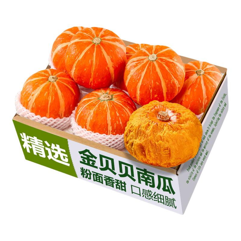 金贝贝南瓜板栗味正宗小南瓜蒸煮粉面香甜整箱精选新鲜婴儿辅食