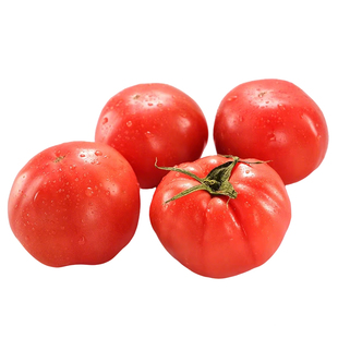 正宗普罗旺斯西红柿新鲜沙瓤自然熟新疆大番茄现摘新鲜水果蔬菜
