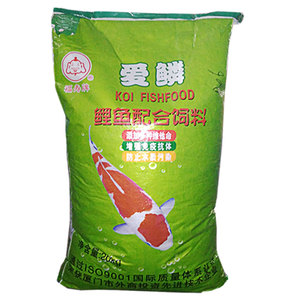 台湾福寿牌爱鳞育成锦鲤鱼