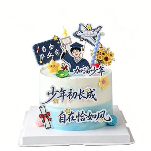 毕业季蛋糕装饰加油少年初长成自在恰如风节日甜品台祝福语插牌