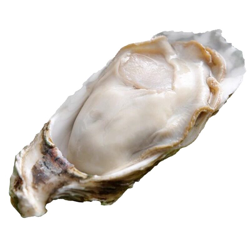 大连特产大生蚝鲜活即食刺身级海鲜水产海蛎子新鲜牡蛎带壳3斤装