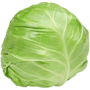 顺丰包邮苏北特产农家自种甘南卷心菜包菜甜脆新鲜当季