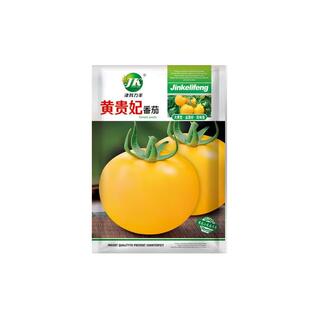 大黄色番茄种子东北西红柿大果阳台盆栽庭院农家春季疏蔬菜种籽孑