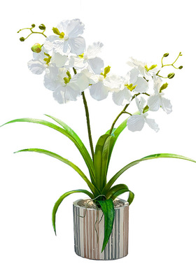 仿真高档花蝴蝶兰绢花家居装饰