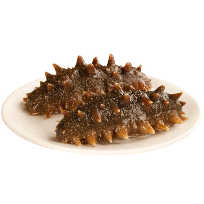 【新品促销】大连鲜食辽刺参